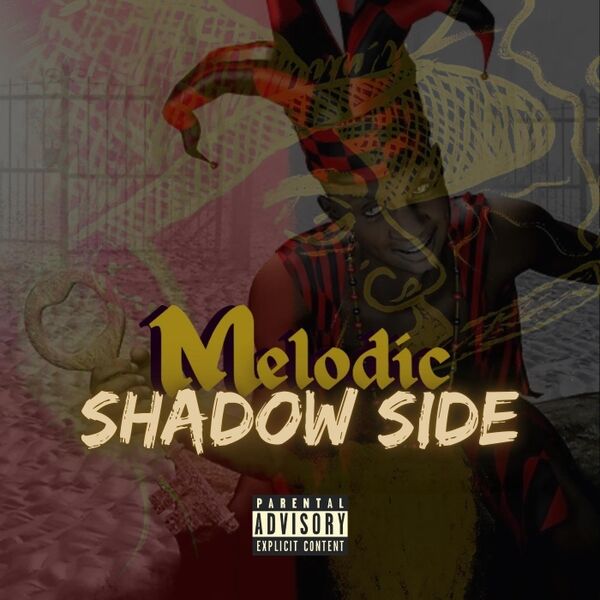 Cover art for Shadow Side